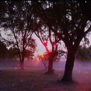 Meet your Posher, Wanda